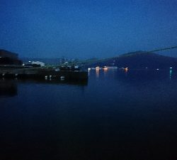 ロックフィッシュ