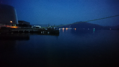 ロックフィッシュ