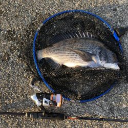 夕マヅメ二時間勝負