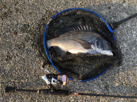 夕マヅメ二時間勝負