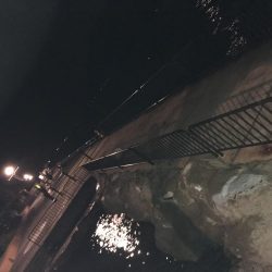 仕事終わりにちょい夜釣り