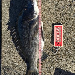 テトラで落とし込み