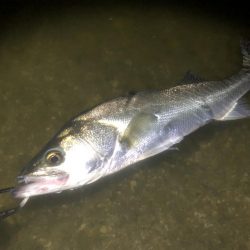豪雨後イマイチ