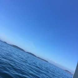 ボートアジング！