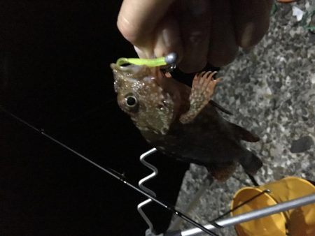 メバリングとガシリング