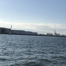 タコを直ぐにタコ飯おにぎりに