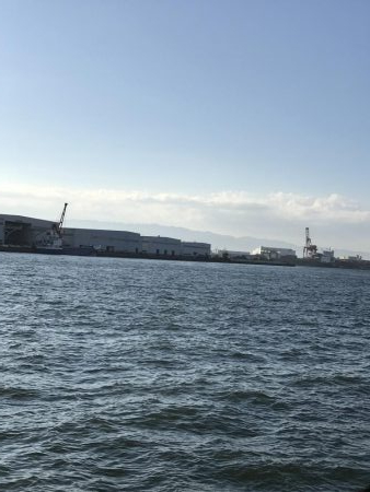 タコを直ぐにタコ飯おにぎりに