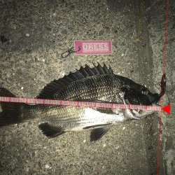 台風接近前に釣行