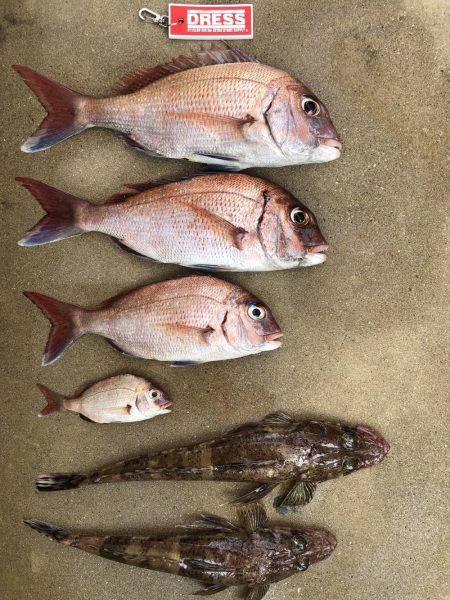 鳴門沖でレンタルボートタイラバ