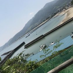 やっとの一匹(＞＜)