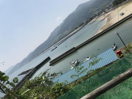 やっとの一匹(＞＜)