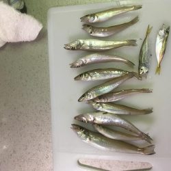 和田島T字でキス