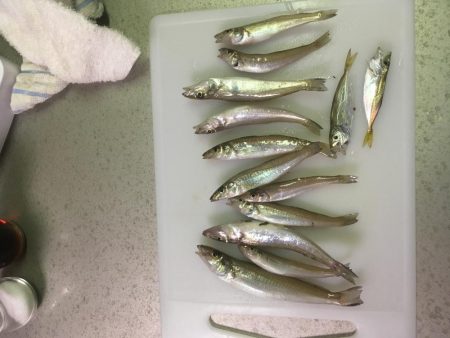 和田島T字でキス