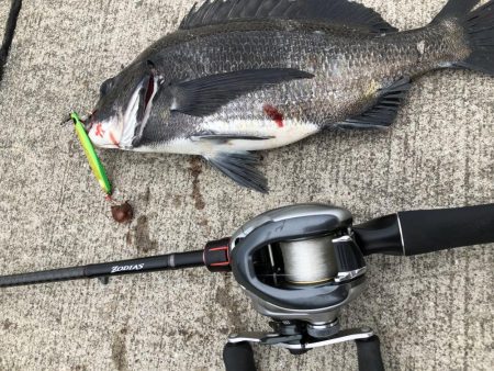 夏だー！岸壁ジギングだー！