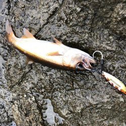 モニター釣行第一弾