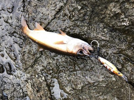 モニター釣行第一弾