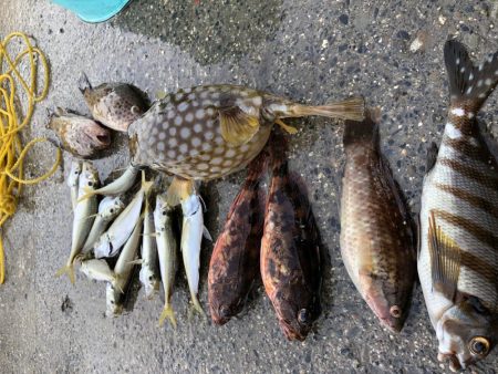 曇りの中釣行！！