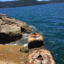 磯から真夏のフカセ釣り