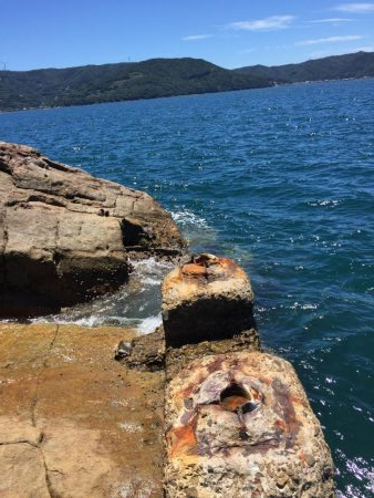 磯から真夏のフカセ釣り