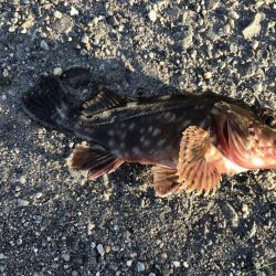 出勤前に。part13