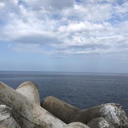 穴からキジハタ