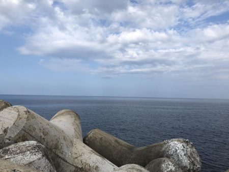 穴からキジハタ