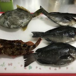筏釣り