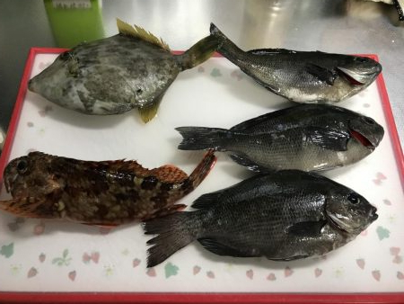 筏釣り