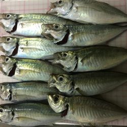 フロートアジング