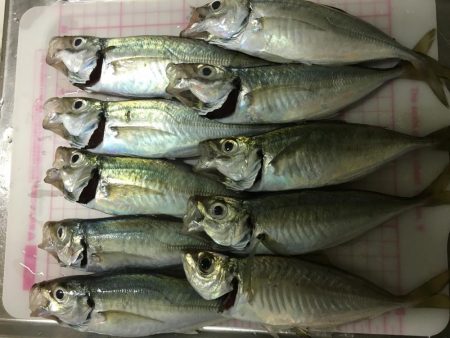 フロートアジング