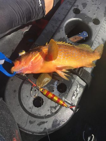 カヤックフィッシング