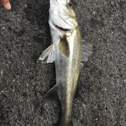 鳴門の激流ポイントにて