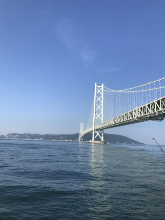 豆アジじゃなくてガシラ大量発生