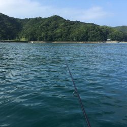 ボートキス釣り