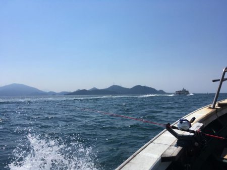 イカは難しいなぁ