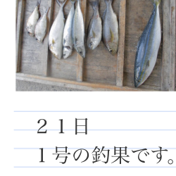 きらがわ漁場にて