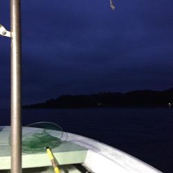 加太近辺で船五目釣り