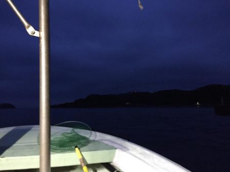 加太近辺で船五目釣り