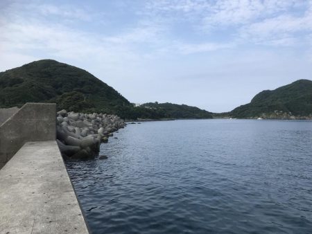 カマスの入れ食い