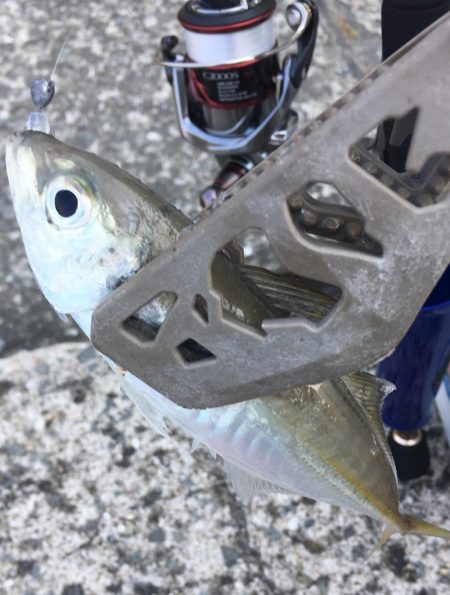 友人とライトゲーム