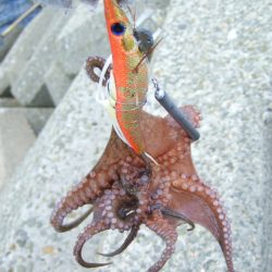 さすがに暑すぎる