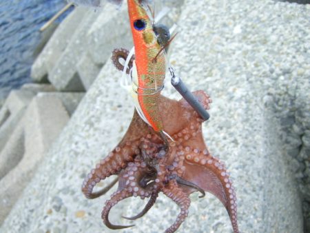 さすがに暑すぎる