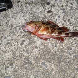 夜になると・・・