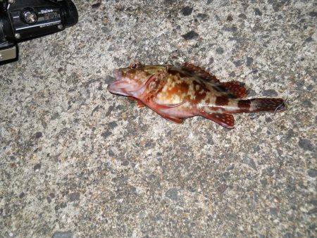 夜になると・・・