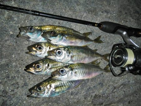 アジング、メバリング