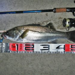 5度目のリベンジで