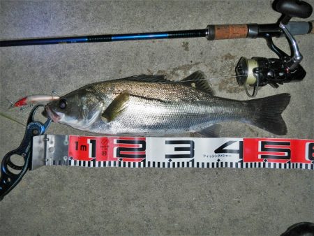 5度目のリベンジで