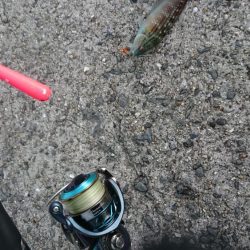 小物釣り