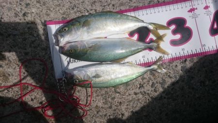 ライトショアジギング1