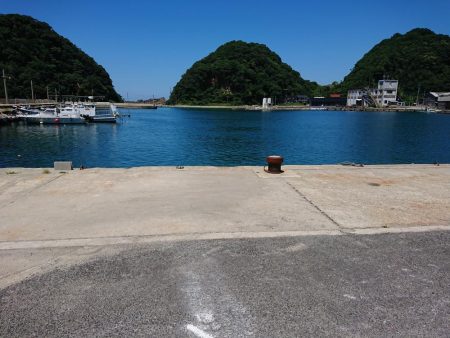 そこそこの釣果